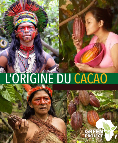 cacao